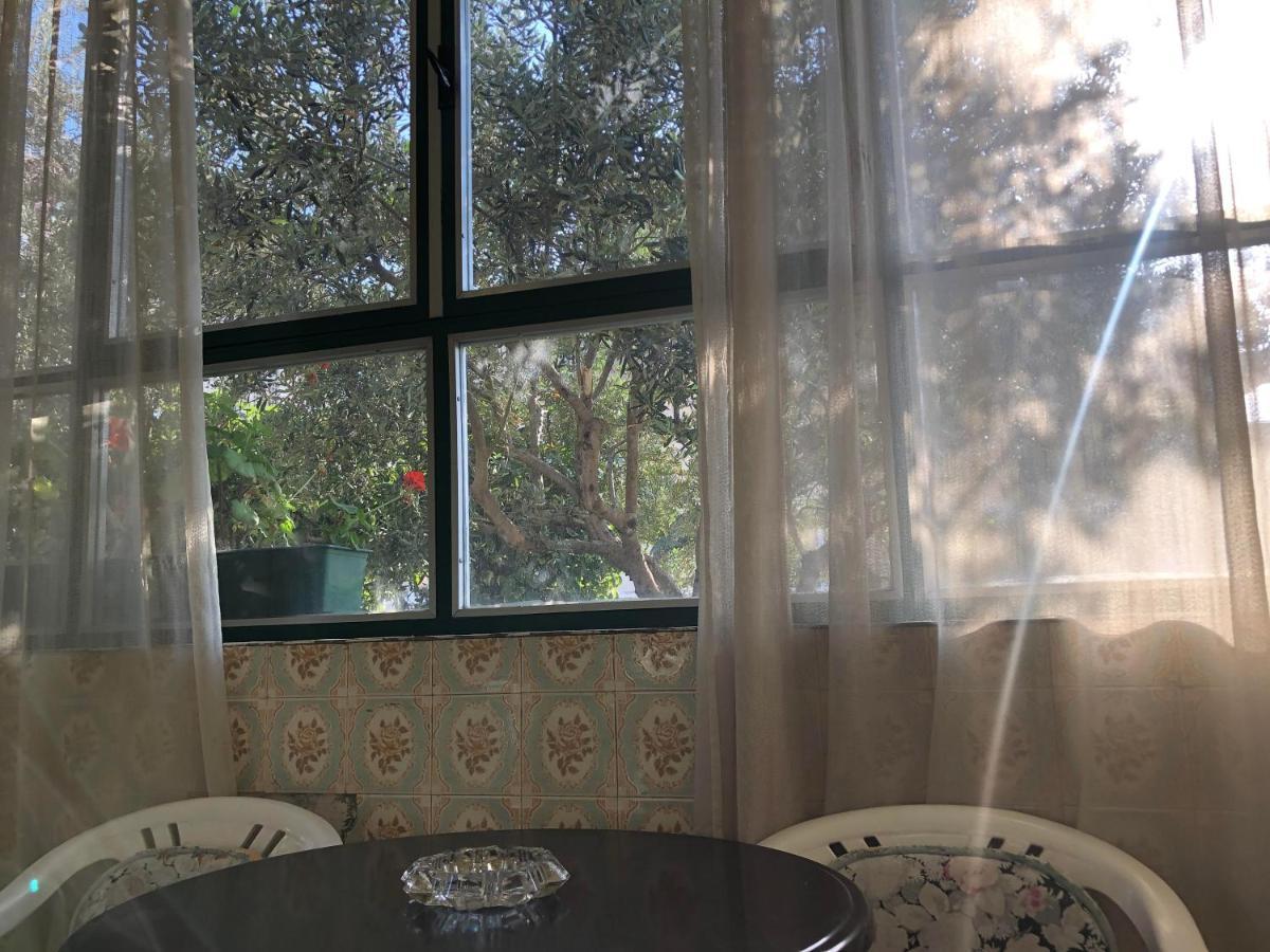 Garden Apartman Split Ngoại thất bức ảnh